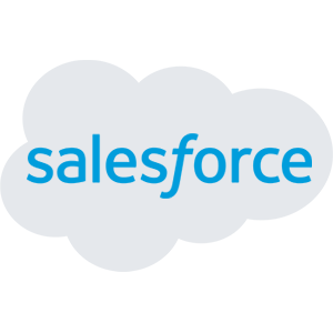 salesforce development partners