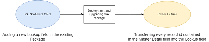 Managed Package field in Salesforce