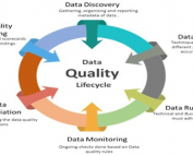 Salesforce Data quality