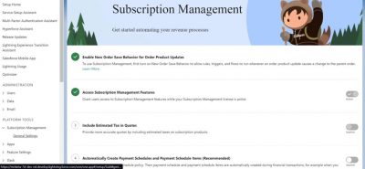 Quote and Subscription in Salesforce